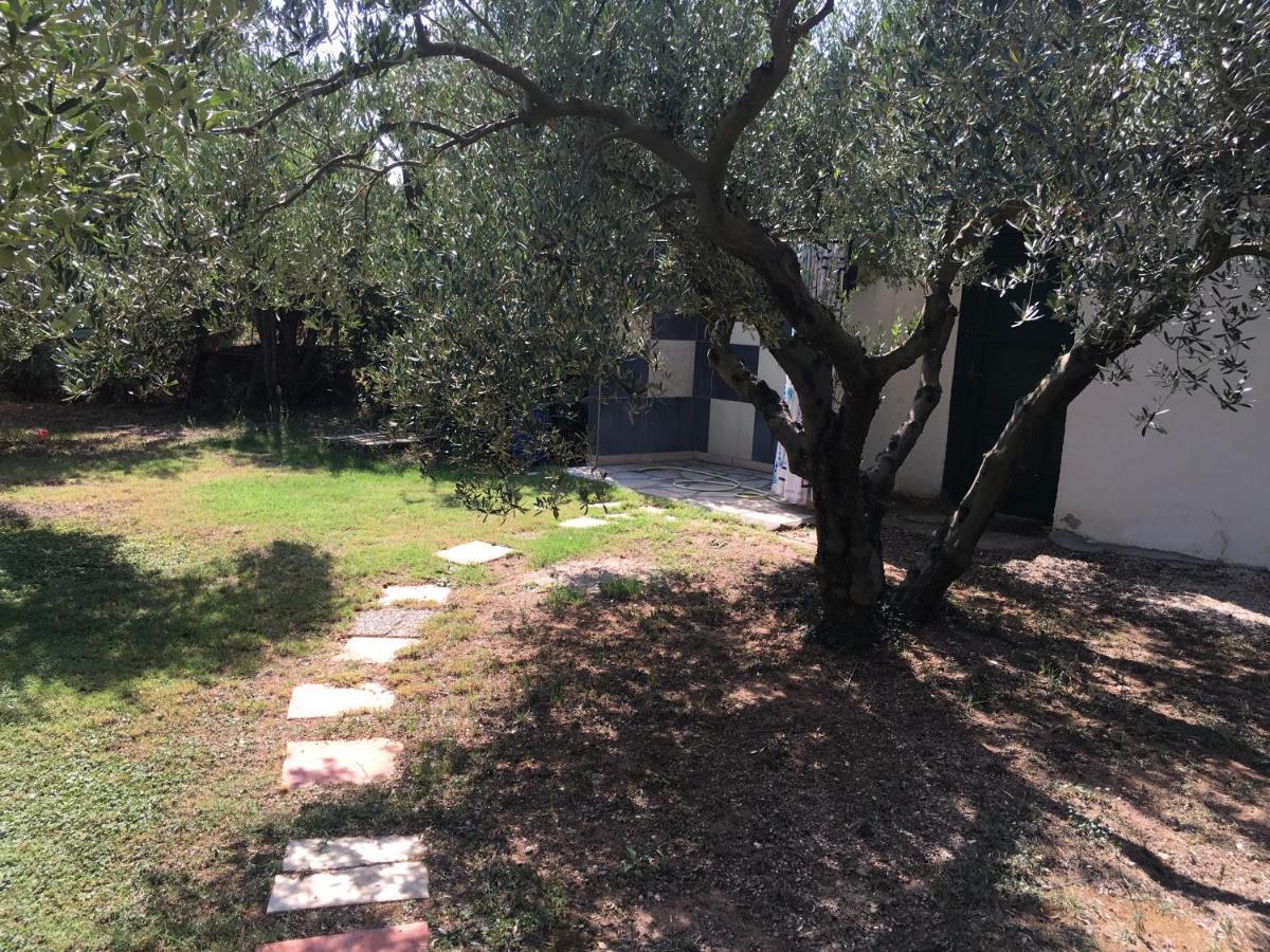 Villa Hrisavgi Nikiti  Exterior foto