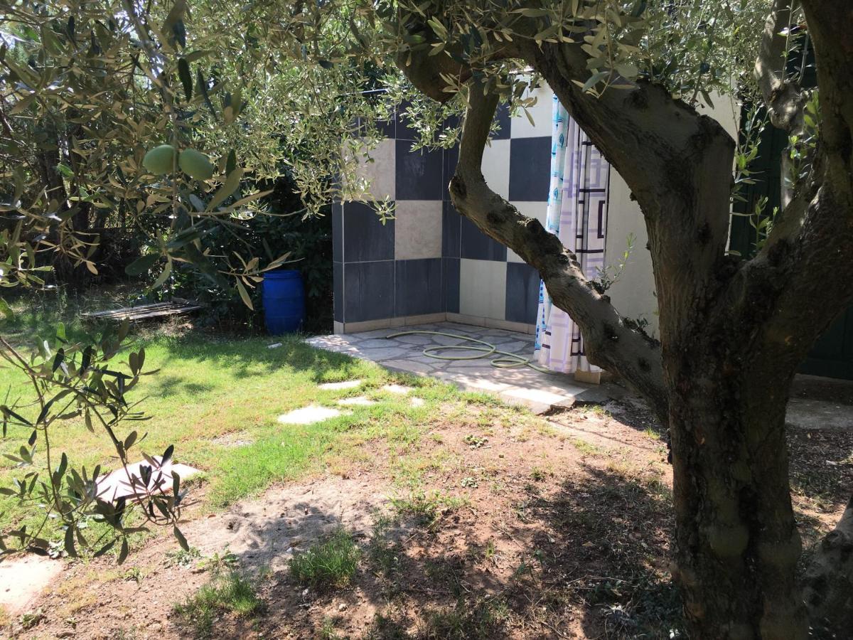 Villa Hrisavgi Nikiti  Exterior foto