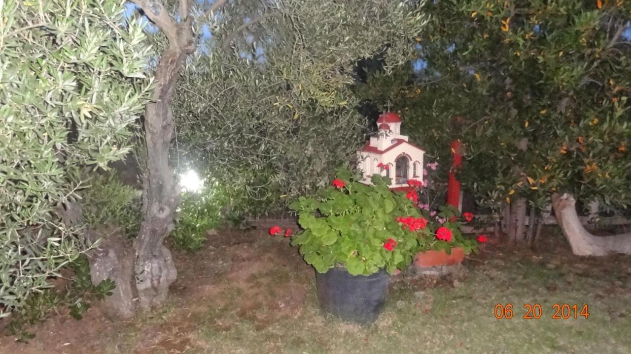 Villa Hrisavgi Nikiti  Exterior foto