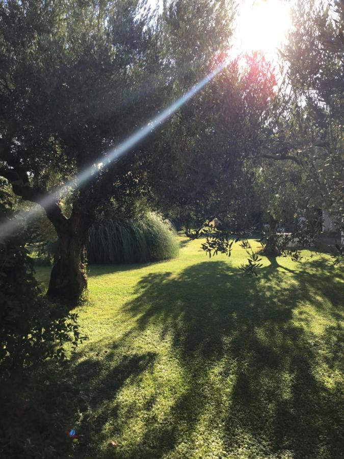Villa Hrisavgi Nikiti  Exterior foto