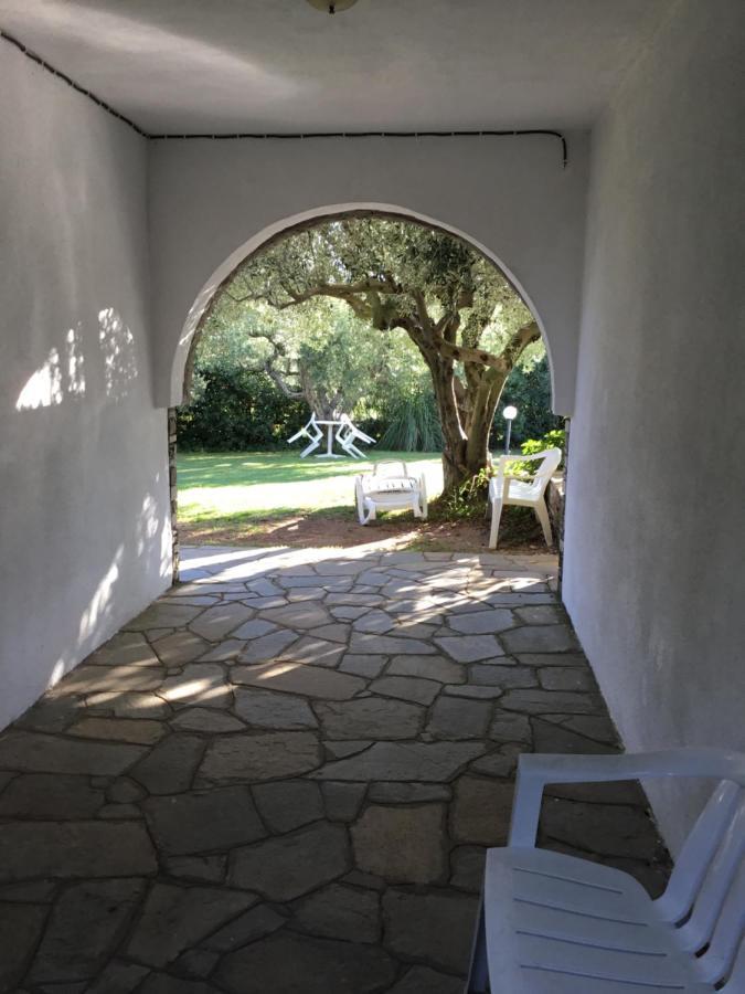 Villa Hrisavgi Nikiti  Exterior foto